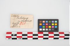 Etikett zu Bronzekugelkopfnadel (NHMW-PRAE-026228)